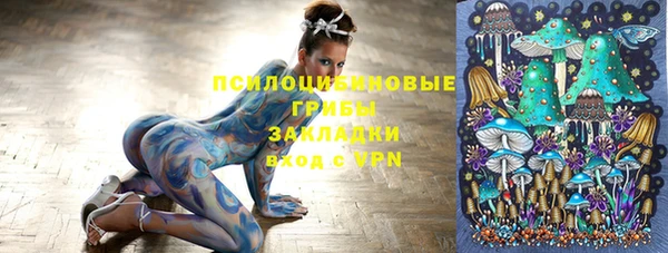 не бодяженный Надым
